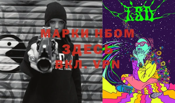 мдпв Верея