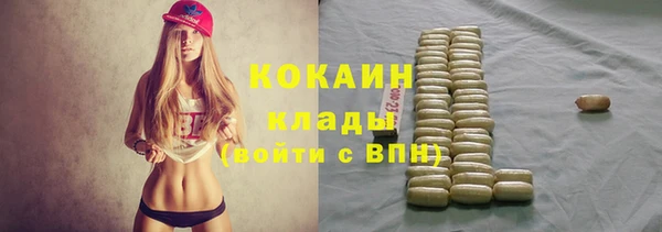 мдпв Верея